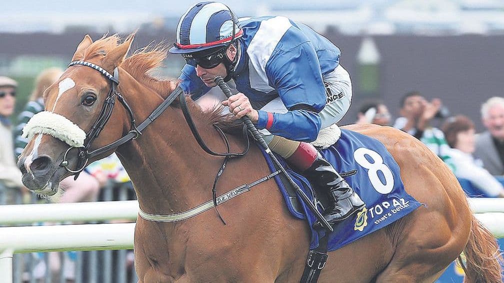 Tarfasha will be among Palace Pier's book of mares this year