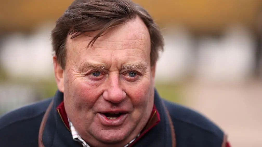 'It was crazy and totally out of character' - Nicky Henderson perplexed as odds-on Jeriko Du Reponet is pulled up on chase debut