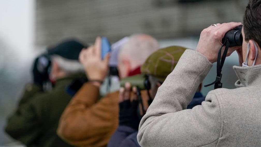 Knowledge gained from being at the track used to provide an edge over bookmakers and other punters