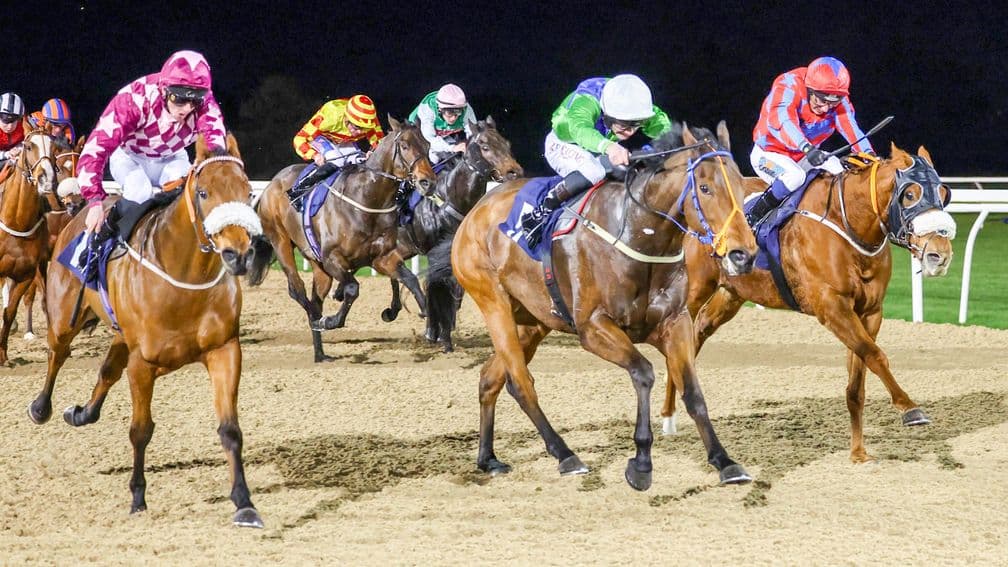 Hiya Maite (centre): course-and-distance winner returns to Southwell on Tuesday