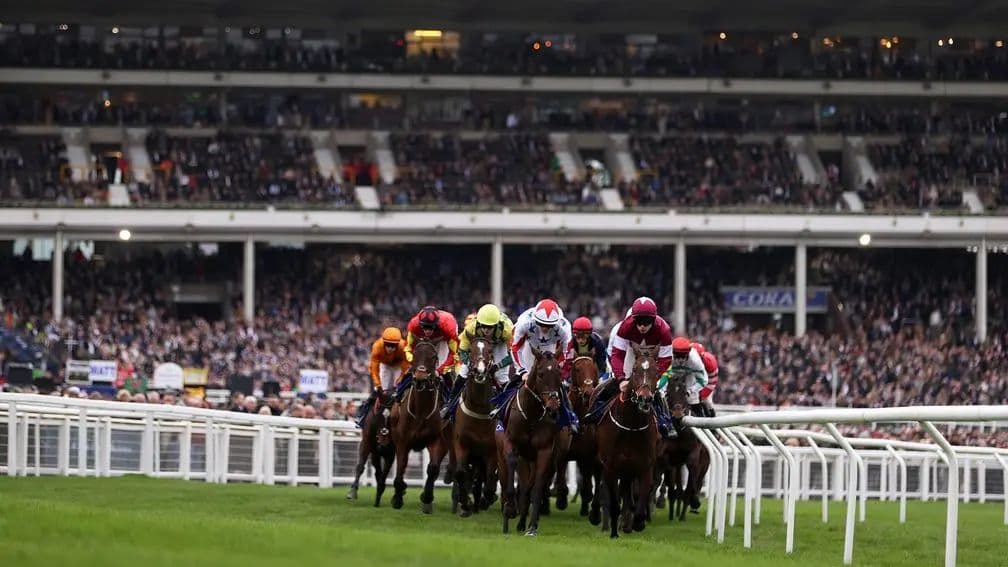 Runners make their way around the course during the Coral Cup during day two of the Cheltenham Festival at Cheltenham Racecourse