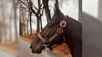 New operation Karwin Farm ready to open its doors to French visitors