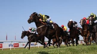 'He would have won' - Modular Magic out for compensation in feature sprint