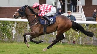 'This looks the right race for him' - who thinks they've found an ideal opening?