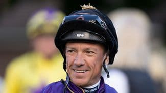 Article - with just Related News collection