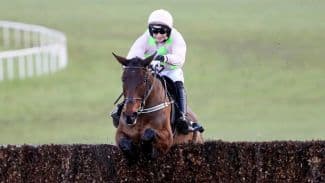 HTML snippet Widget Article