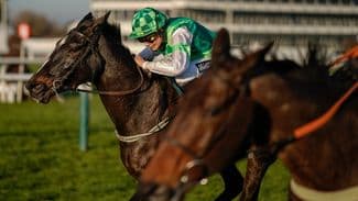 Girl power: Dame Du Soir and Ile De Jersey bid to beat the boys in Silver Fox