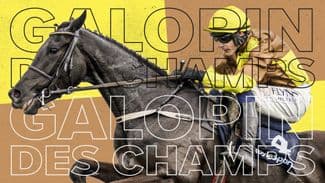 Talking points, analysis and a tip for the Cheltenham Gold Cup