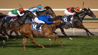 Japan's ascent on world stage shows no sign of stopping after record year