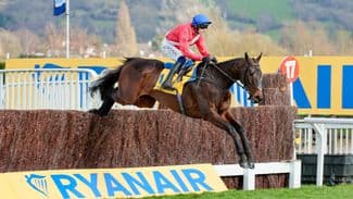 Willie Mullins: 'It wouldn't bother me if Allaho went straight to Cheltenham'