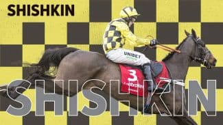 REGRESSION DO NOT EDIT - Related content