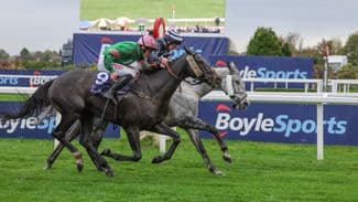 Can Gesskille make amends after twice finishing second over the National fences?