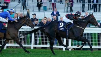 Ivan Test Sports B2B Widget