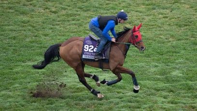 Early pace battle the undoing of The Platinum Queen in Juvenile Turf Sprint Test