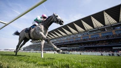 Test production issue of racecard navigation