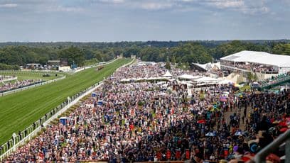 'The phone has been hopping'