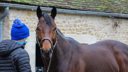 Darley's Poule d’Essai des Poulains winner Victor Ludorum welcomes first foal