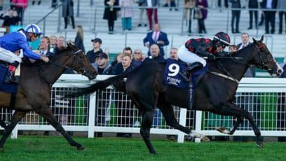 Gabriela bet button widget test € ¢ $ £